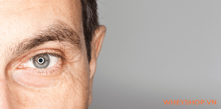 Có nhiều cách chế biến cá sốt cà chua tùy theo vùng miền và loại cá được sử dụng trong chế biến. Bài viết dưới đây WheyShop giúp các bạn học cách chế biến...