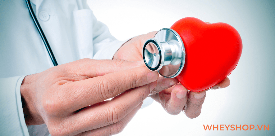 Có nhiều cách chế biến cá sốt cà chua tùy theo vùng miền và loại cá được sử dụng trong chế biến. Bài viết dưới đây WheyShop giúp các bạn học cách chế biến...
