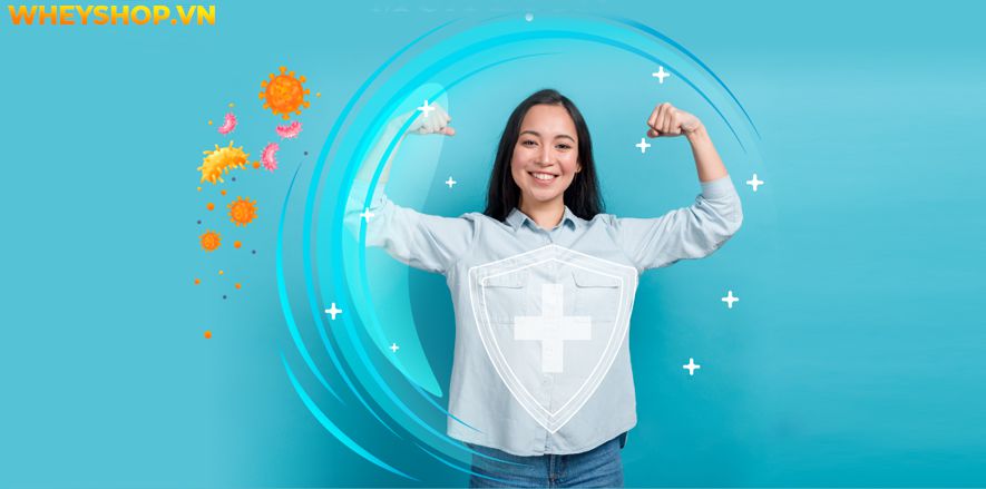 Gan động vật là một loại thực phẩm rất ngon và bổ dưỡng cho cơ thể được sử dụng nhiều trong bữa ăn hàng ngày của các gia đình Việt Nam. Gan lợn xào tỏi được...