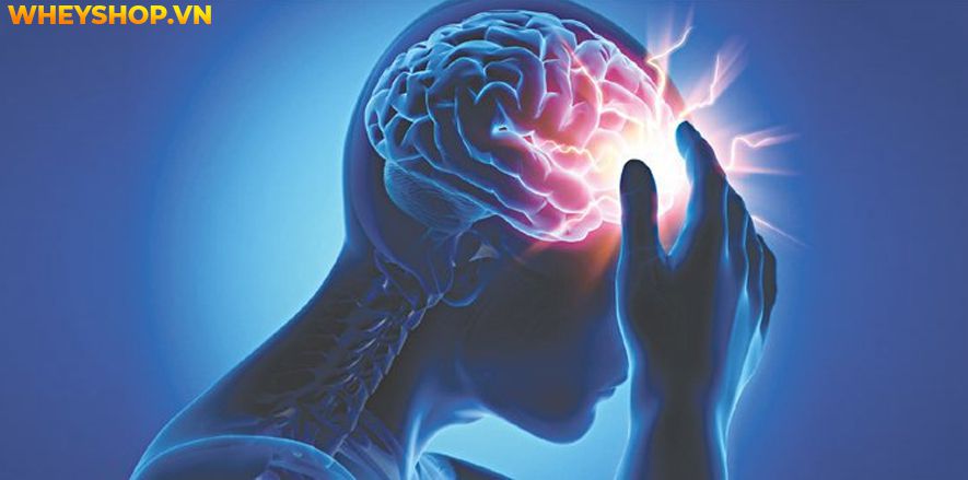 Gan động vật là một loại thực phẩm rất ngon và bổ dưỡng cho cơ thể được sử dụng nhiều trong bữa ăn hàng ngày của các gia đình Việt Nam. Gan lợn xào tỏi được...