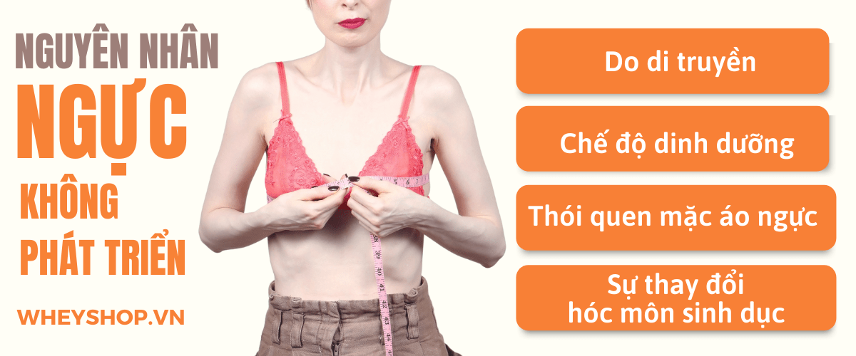 Cùng tìm hiểu về những bài tập cũng như chế độ dinh dưỡng những món ăn rẻ, tiện lợi là cách làm ngực lớn nhanh nhất hiệu quả, đơn giản..