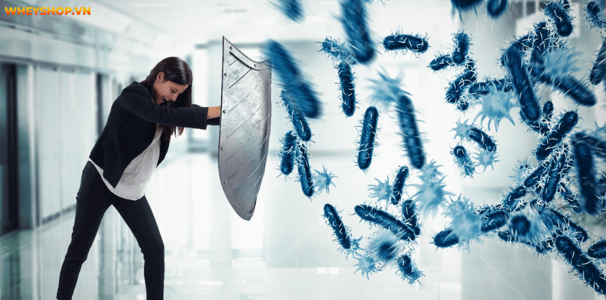 Để cho ra dược phẩm tỏi ngâm mật ong có khó không? WheyShop sẽ hướng dẫn cách làm tỏi ngâm mật ong thơm ngon bổ dưỡng.