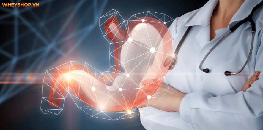 Để cho ra dược phẩm tỏi ngâm mật ong có khó không? WheyShop sẽ hướng dẫn cách làm tỏi ngâm mật ong thơm ngon bổ dưỡng.