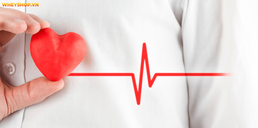 Để cho ra dược phẩm tỏi ngâm mật ong có khó không? WheyShop sẽ hướng dẫn cách làm tỏi ngâm mật ong thơm ngon bổ dưỡng.