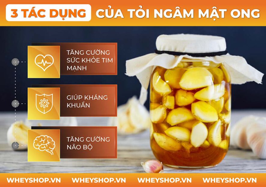 Để cho ra dược phẩm tỏi ngâm mật ong có khó không? WheyShop sẽ hướng dẫn cách làm tỏi ngâm mật ong thơm ngon bổ dưỡng.