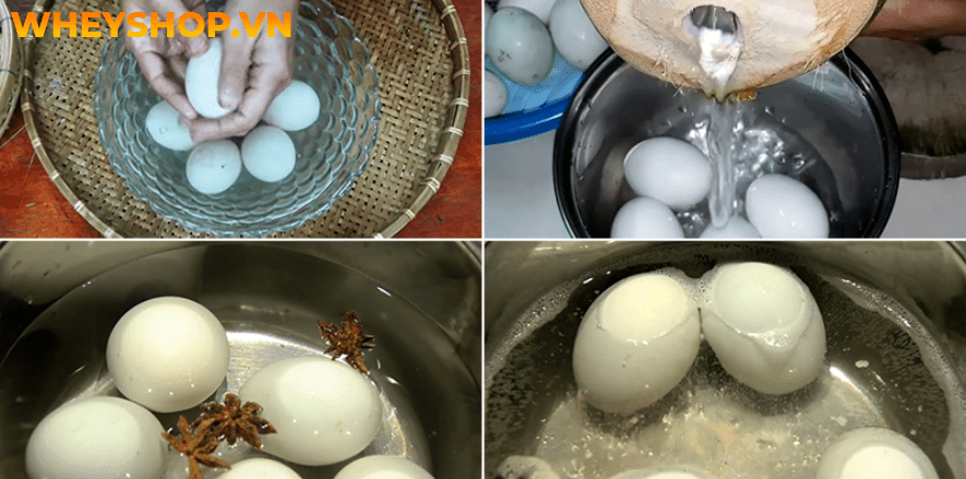 Nếu bạn chưa biết cách chọn trứng vịt lộn và luộc trứng vịt lộn ngon không nứt vỡ thì hãy cùng WheyShop tham khảo bài viết...