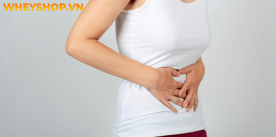 Nếu bạn chưa biết cách chọn trứng vịt lộn và luộc trứng vịt lộn ngon không nứt vỡ thì hãy cùng WheyShop tham khảo bài viết...