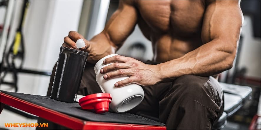 Trên thị trường hiện nay có vô số dòng Creatine với cách điều chế khác nhau. Bài viết này WheyShop sẽ phân biệt các loại Creatine nhé...
