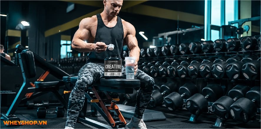 Trên thị trường hiện nay có vô số dòng Creatine với cách điều chế khác nhau. Bài viết này WheyShop sẽ phân biệt các loại Creatine nhé...