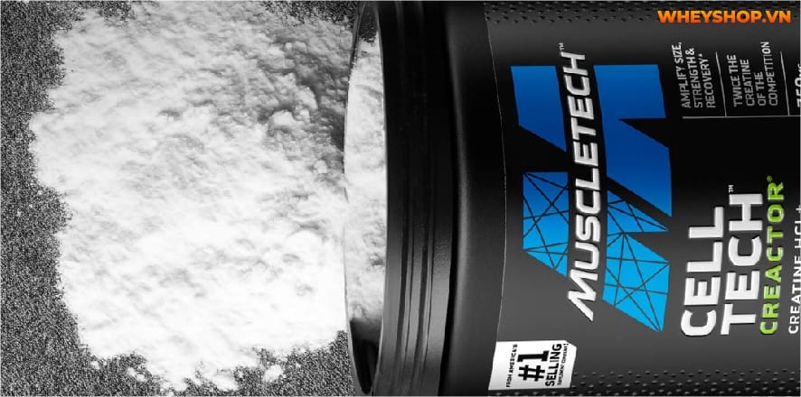Trên thị trường hiện nay có vô số dòng Creatine với cách điều chế khác nhau. Bài viết này WheyShop sẽ phân biệt các loại Creatine nhé...