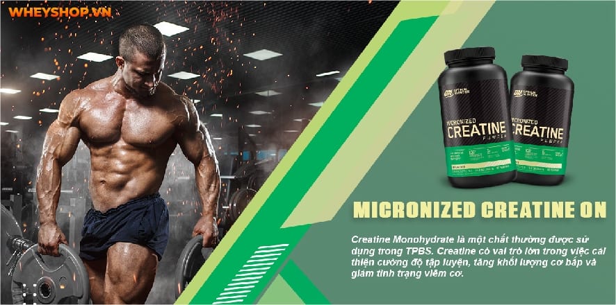 Trên thị trường hiện nay có vô số dòng Creatine với cách điều chế khác nhau. Bài viết này WheyShop sẽ phân biệt các loại Creatine nhé...