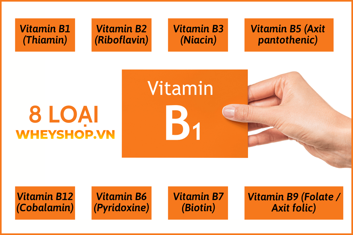 Nhiều người quan tâm đến cách tắm trắng với vitamin B1 vì đây là phương pháp cải thiện làn da đã được kiểm chứng. Vitamin B1 kết hợp với các hỗn hợp như mật...