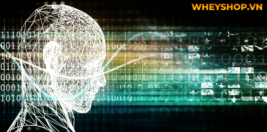 Nhiều người quan tâm đến cách tắm trắng với vitamin B1 vì đây là phương pháp cải thiện làn da đã được kiểm chứng. Vitamin B1 kết hợp với các hỗn hợp như mật...