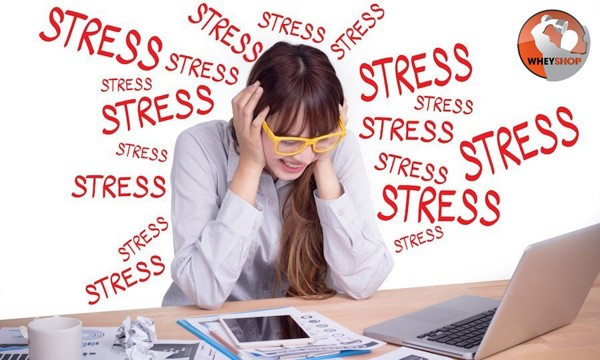 tăng cân nhanh trong 1 tuần