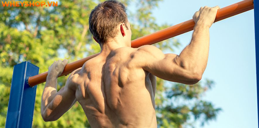 Nếu bạn đang băn khoăn tìm cách tăng chiều cao ở tuổi dậy thì hiệu quả thì hãy cùng WheyShop tham khảo 9 cách tăng chiều cao tự nhiên qua bài...