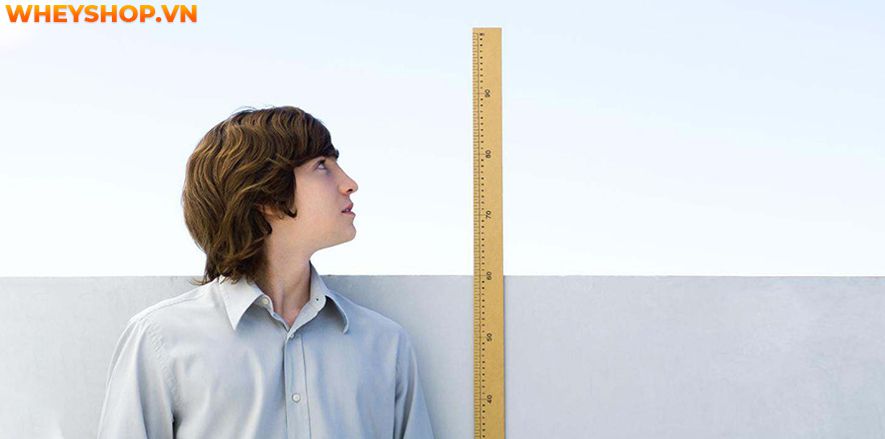 Nếu bạn đang băn khoăn tìm cách tăng chiều cao ở tuổi dậy thì hiệu quả thì hãy cùng WheyShop tham khảo 9 cách tăng chiều cao tự nhiên qua bài...