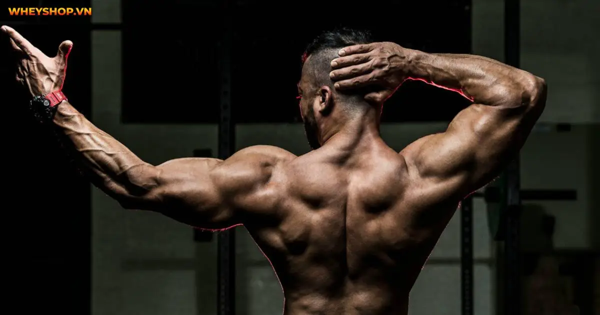 cach-tap-co-vai-giup-cho-vai-rong-hon