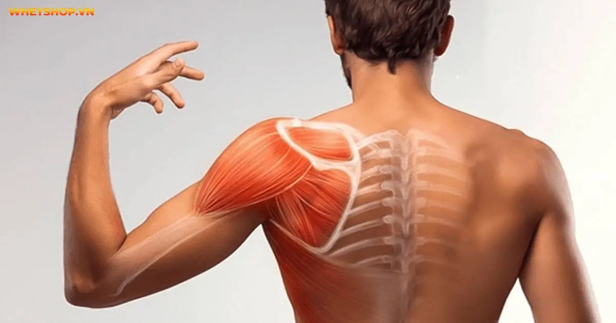 cach-tap-co-vai-giup-cho-vai-rong-hon