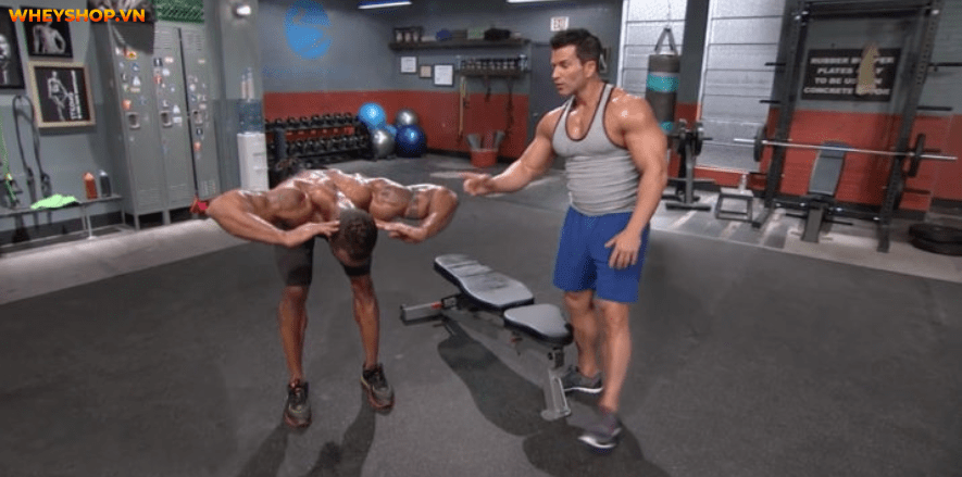 Để có Lưng xô hình chữ V vô cùng săn chắc và khỏe khoắn là ước mơ của rất nhiều chàng trai. cùng tìm hiểu ngay các cách tập cơ lưng xô tại nhà đơn giản...