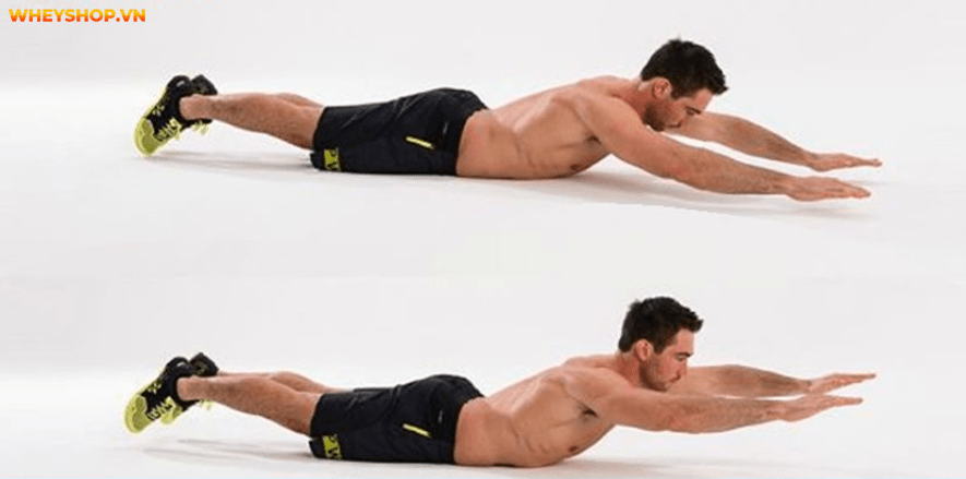 Để có Lưng xô hình chữ V vô cùng săn chắc và khỏe khoắn là ước mơ của rất nhiều chàng trai. cùng tìm hiểu ngay các cách tập cơ lưng xô tại nhà đơn giản...