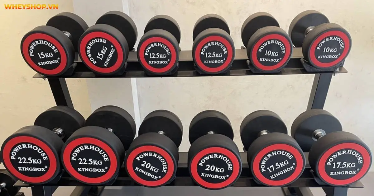 cach-tap-ta-tay-2kg-8kg-hieu-qua-dat-duoc-cao-nhat(1)