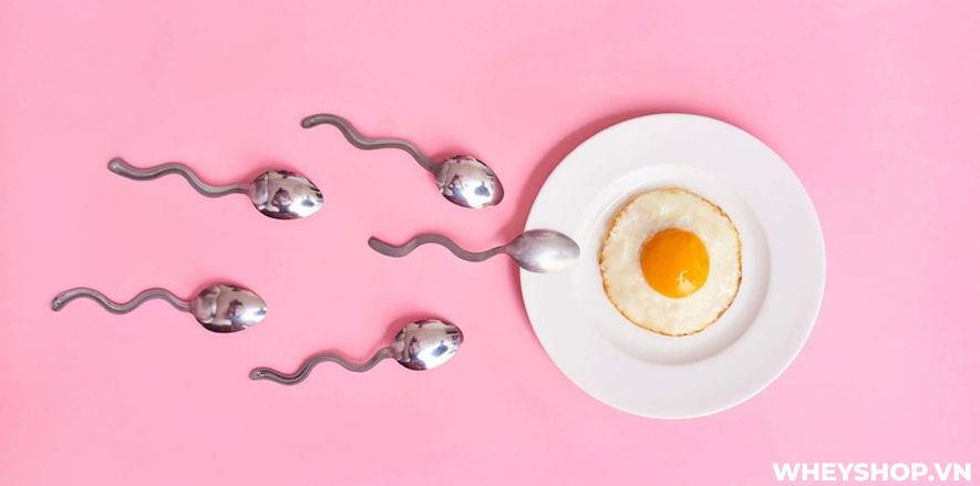 Cách tính ngày an toàn dựa theo chu kỳ kinh nguyệt của bản thân là một trong những cách tránh thai phổ biến nhất của nữ giới hiện nay. Vậy phải làm thế nào...