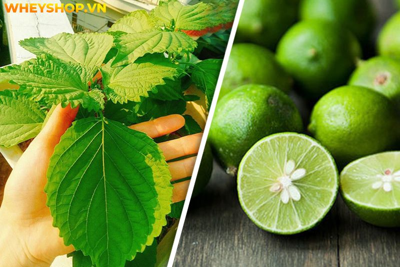 Cách xông mặt tại nhà hiện đang là phương thức điều trị mụn hiệu quả, được nhiều chị em hiện nay quan tâm. Xông hơi vừa làm sạch da ngừa mụn, trị thâm mụn...