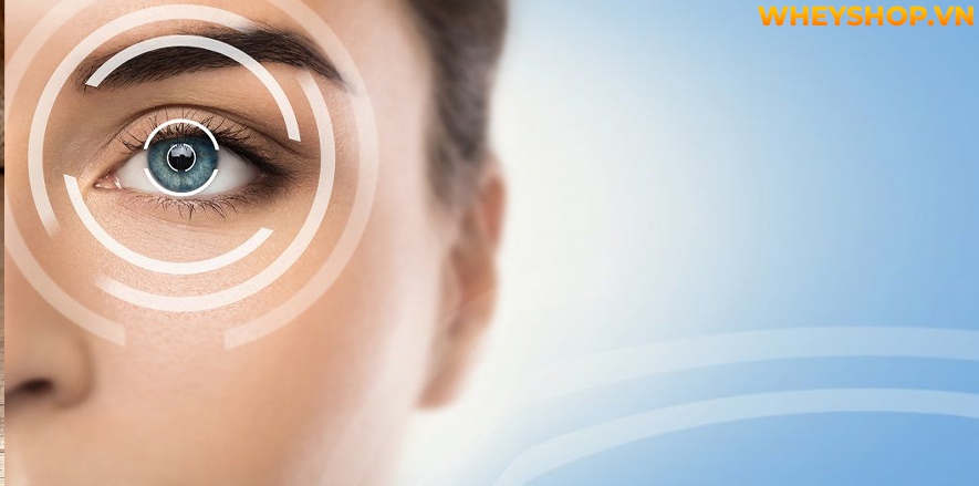 Rượu dâu tây là thức uống bồi bổ sức khỏe rất tốt được ưa chuộng với các tác dụng như hỗ trợ tiêu hóa, sảng khoái tinh thần,... Vậy cách ngâm rượu dâu tây...