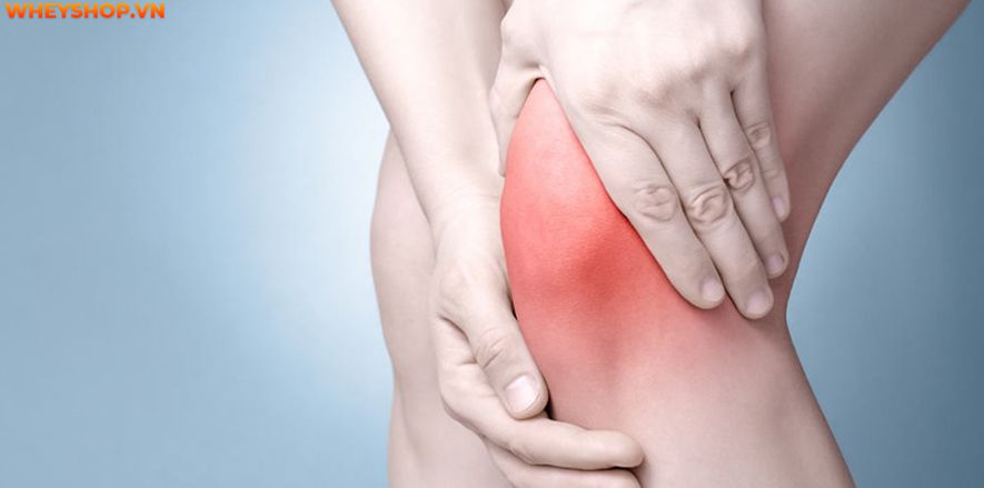 Nếu bạn đang băn khoăn cần tây sấy lạnh là gì và cần tây sấy lạnh có tốt không thì hãy cùng WheyShop tham khảo chi tiết qua bài viết ngay sau...