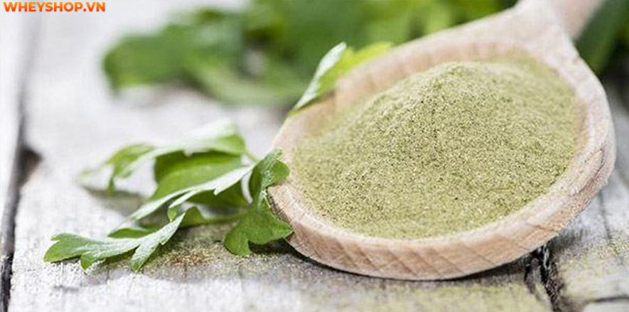 Nếu bạn đang băn khoăn cần tây sấy lạnh là gì và cần tây sấy lạnh có tốt không thì hãy cùng WheyShop tham khảo chi tiết qua bài viết ngay sau...