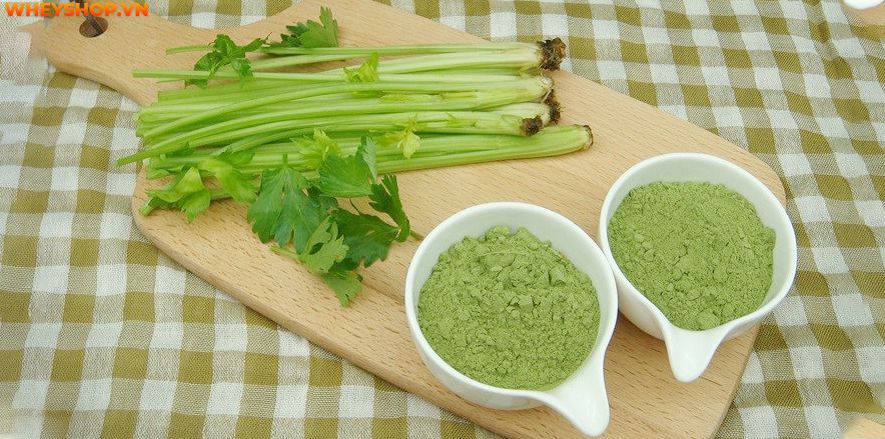 Nếu bạn đang băn khoăn cần tây sấy lạnh là gì và cần tây sấy lạnh có tốt không thì hãy cùng WheyShop tham khảo chi tiết qua bài viết ngay sau...