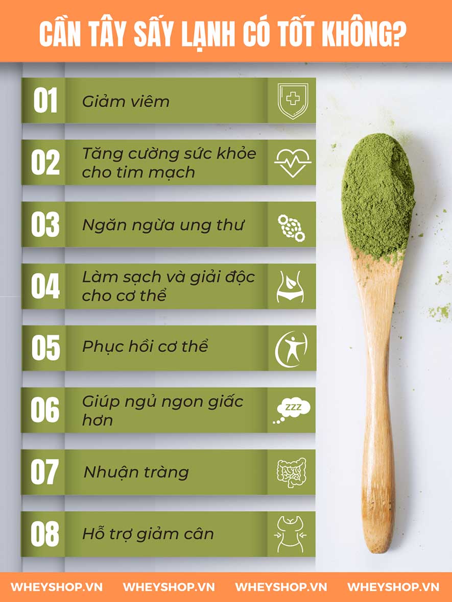 Nếu bạn đang băn khoăn cần tây sấy lạnh là gì và cần tây sấy lạnh có tốt không thì hãy cùng WheyShop tham khảo chi tiết qua bài viết ngay sau...