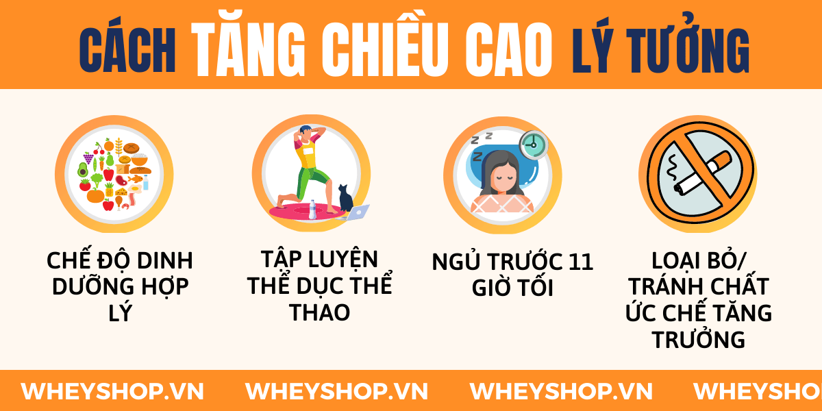Nếu bạn đang băn khoăn tìm hiểu chiều cao 1m60 nặng bao nhiêu kg là chuẩn đẹp thì hãy cùng WheyShop tham khảo chi tiết bài viết...