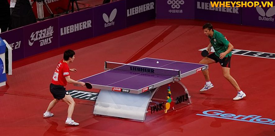 Nếu bạn đang tìm hiểu luật bóng bàn mới nhất của Liên đoàn bóng bàn quốc tế thì hãy cùng WheyShop tham khảo chi tiết bài viết...