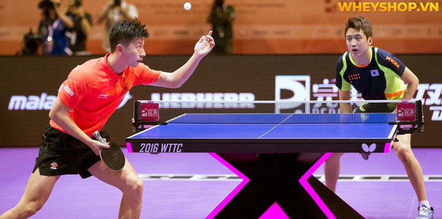 vNếu bạn đang tìm hiểu luật bóng bàn mới nhất của Liên đoàn bóng bàn quốc tế thì hãy cùng WheyShop tham khảo chi tiết bài viết...