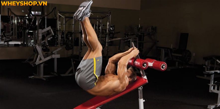 Béo bụng không chỉ gây ảnh hưởng lên sức khỏe mà còn làm bạn tự ti với ngoại hình. Chính vì thế mà những bài tập thể dục tan mỡ bụng hiệu quả tại nhà luôn...