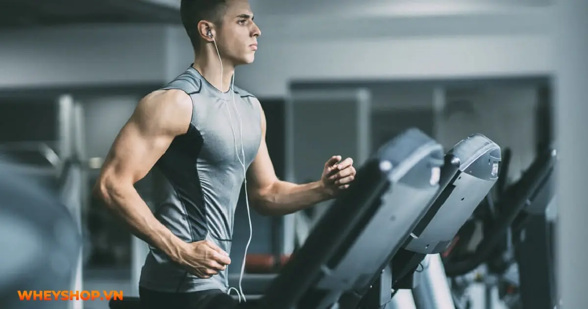 cardio-la-gi-04-min