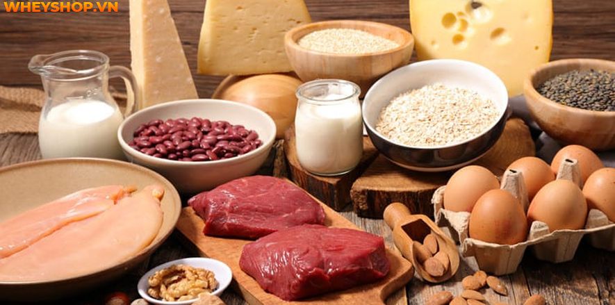 Casein là gì? Vai trò của Casein đối với việc phục hồi và phát triển cơ bắp? Tập gym có cần thiết bổ sung Casein hay không? Tác dụng phụ cần biết khi dùng Casein