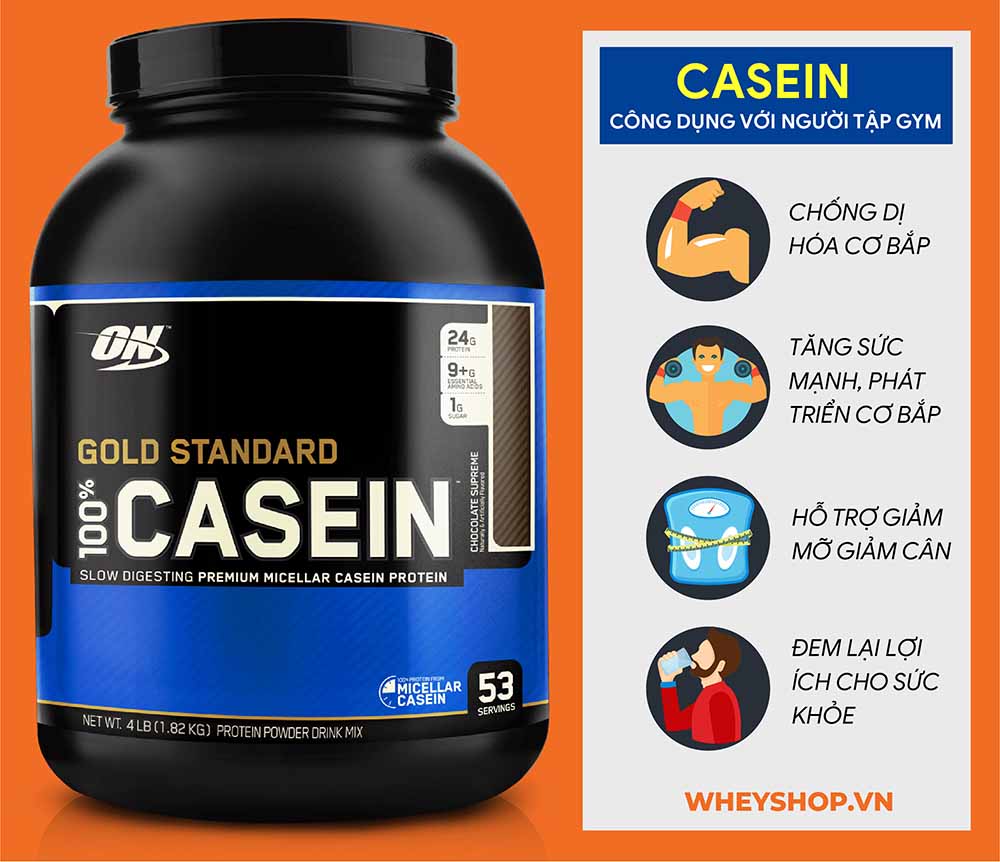 Casein là gì? Vai trò của Casein đối với việc phục hồi và phát triển cơ bắp? Tập gym có cần thiết bổ sung Casein hay không? Tác dụng phụ cần biết khi dùng Casein