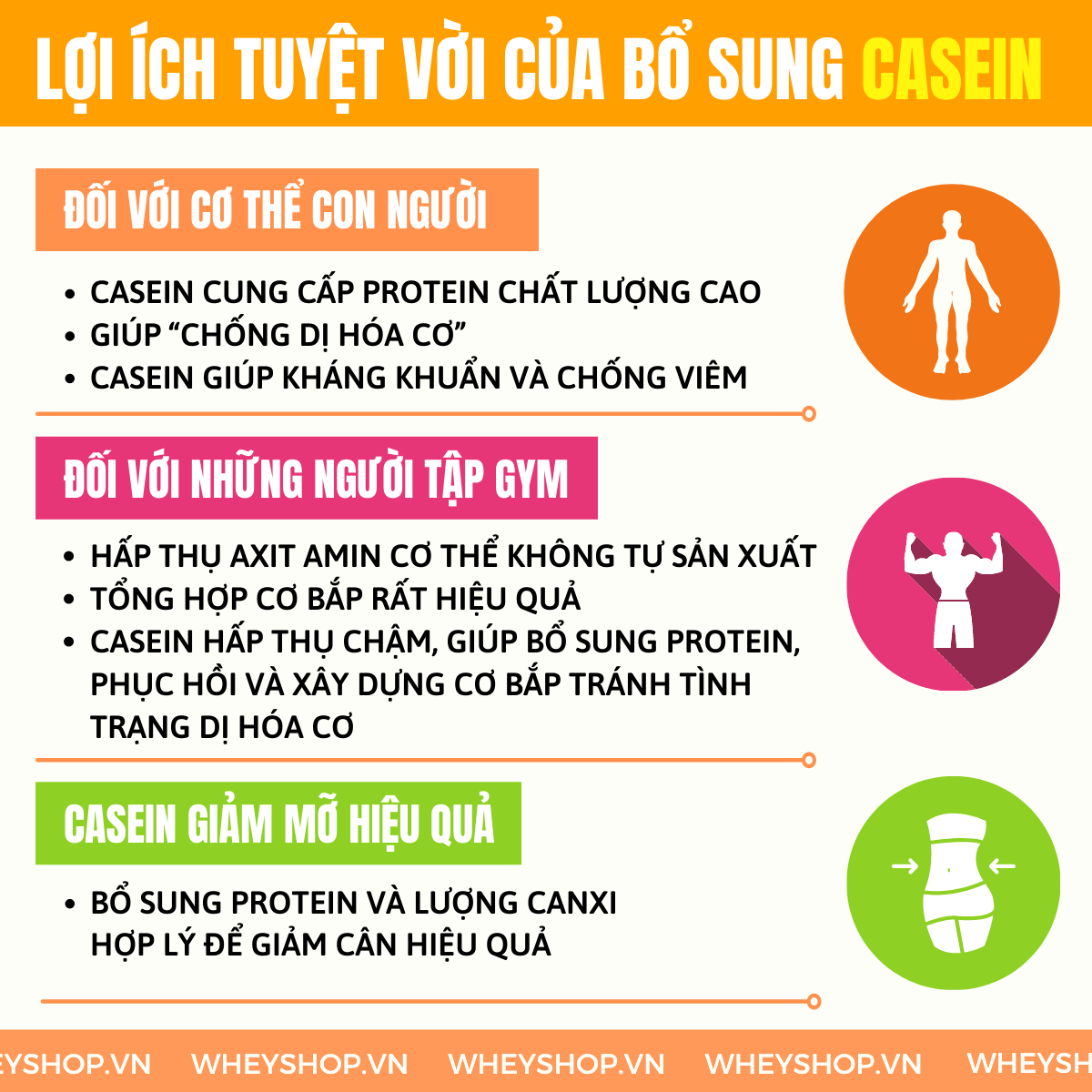 Nếu bạn đang băn khoăn tìm hiểu Casein là gì thì hãy cùng WheyShop tham khảo chi tiết về lợi ích của Casein qua bài viết..
