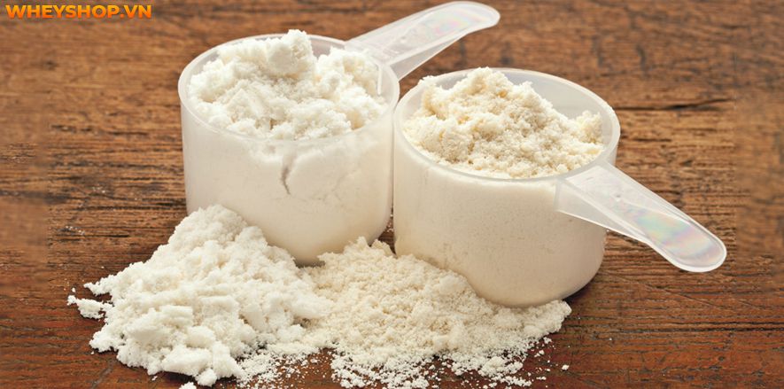 Casein là gì? Vai trò của Casein đối với việc phục hồi và phát triển cơ bắp? Tập gym có cần thiết bổ sung Casein hay không? Tác dụng phụ cần biết khi dùng Casein