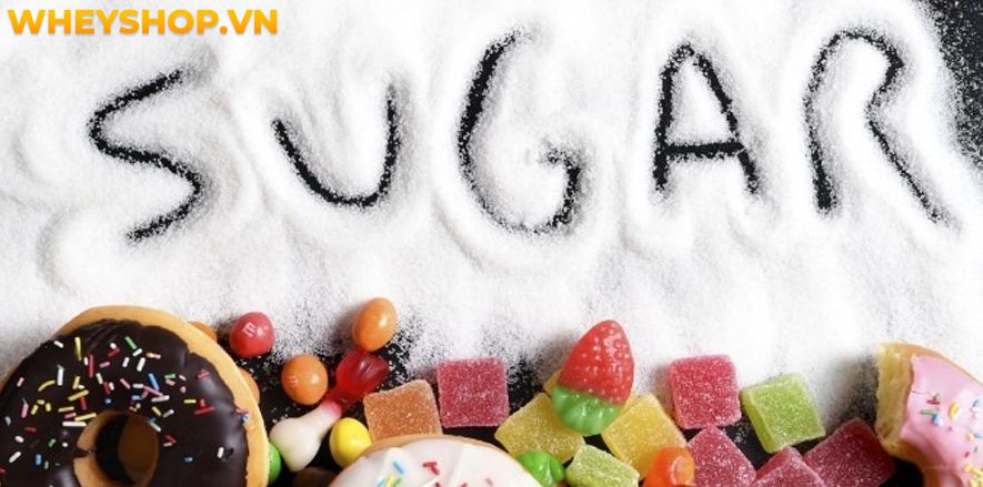 Việc xây dựng chế độ ăn giảm cân hợp lý rất quan trọng vì chế độ ăn kiêng chiếm tới 70% kết quả giảm cân thành công không. Vậy làm thế nào để xây dựng chế độ...