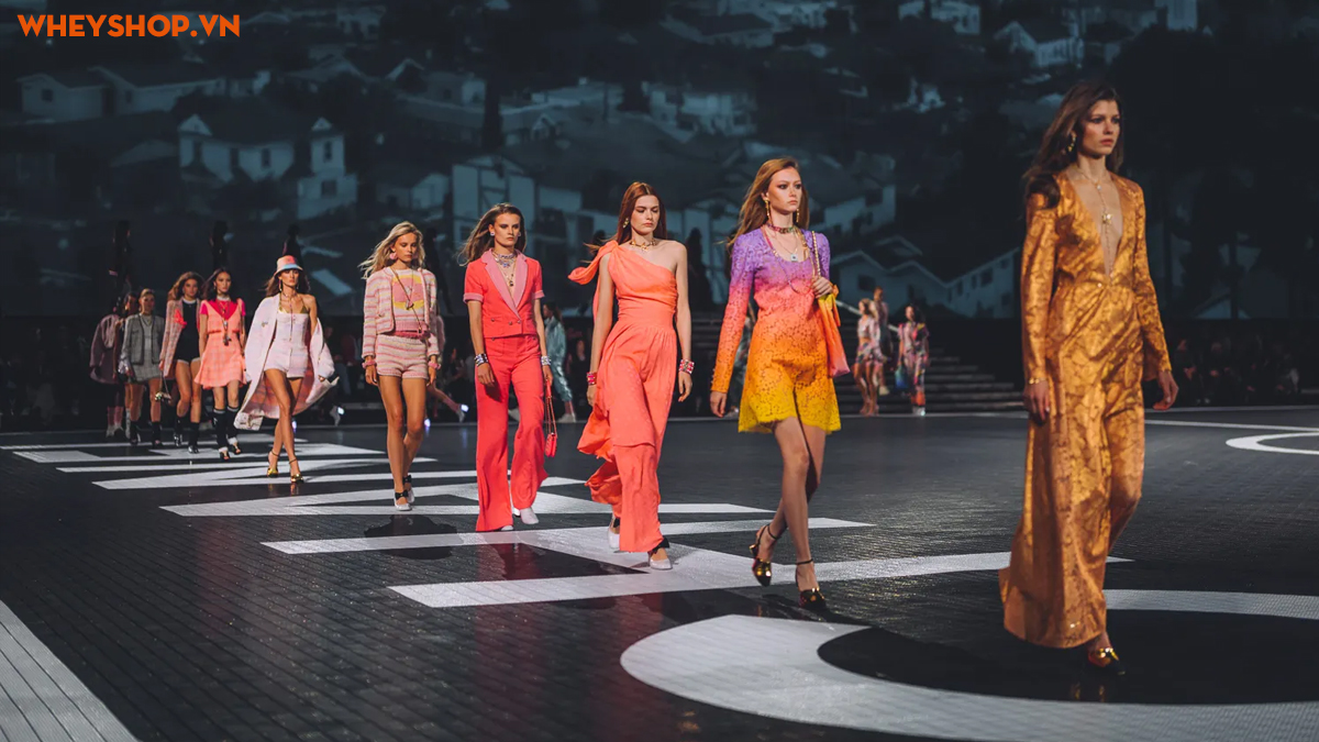 Catwalk là gì? Hướng dẫn đi catwalk như người mẫu từ A–Z – WheyShop