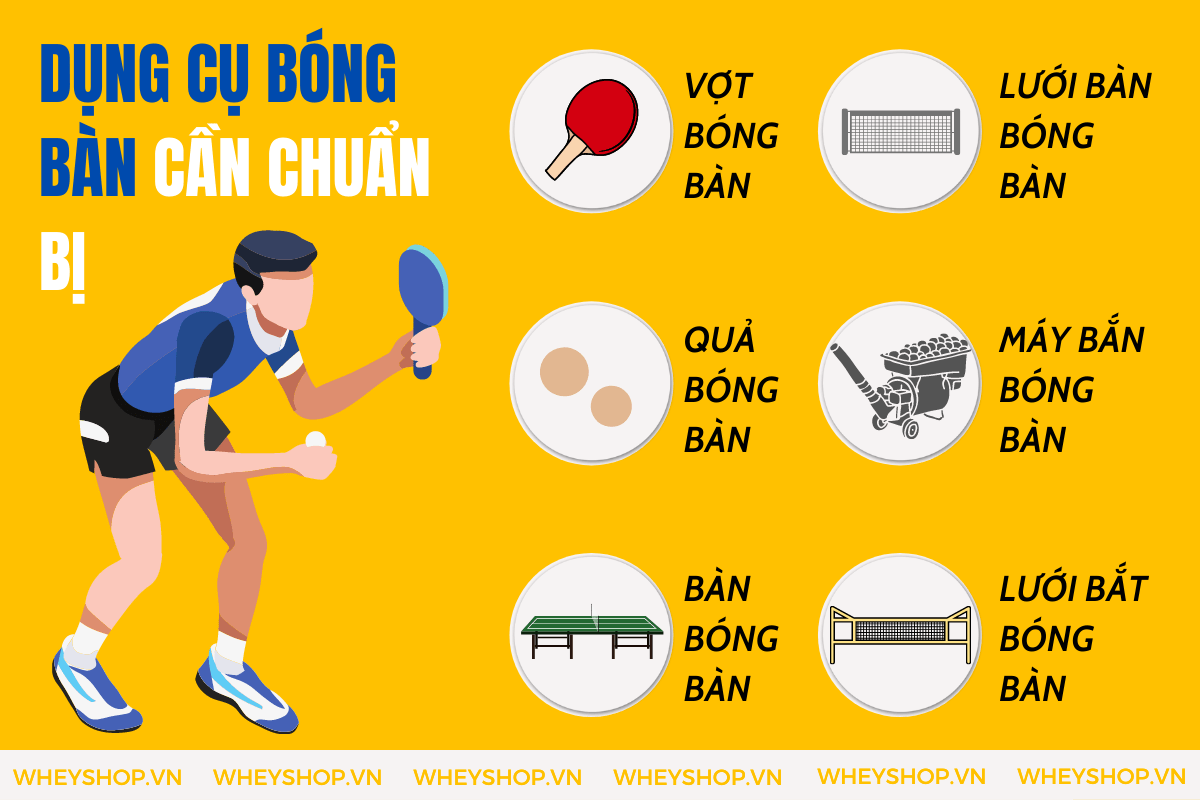 Nếu bạn đang băn khoăn chưa biết cần chuẩn bị dụng cụ bóng bàn thì hãy cùng WheyShop tham khảo chi tiết bài viết ngay sau đây...