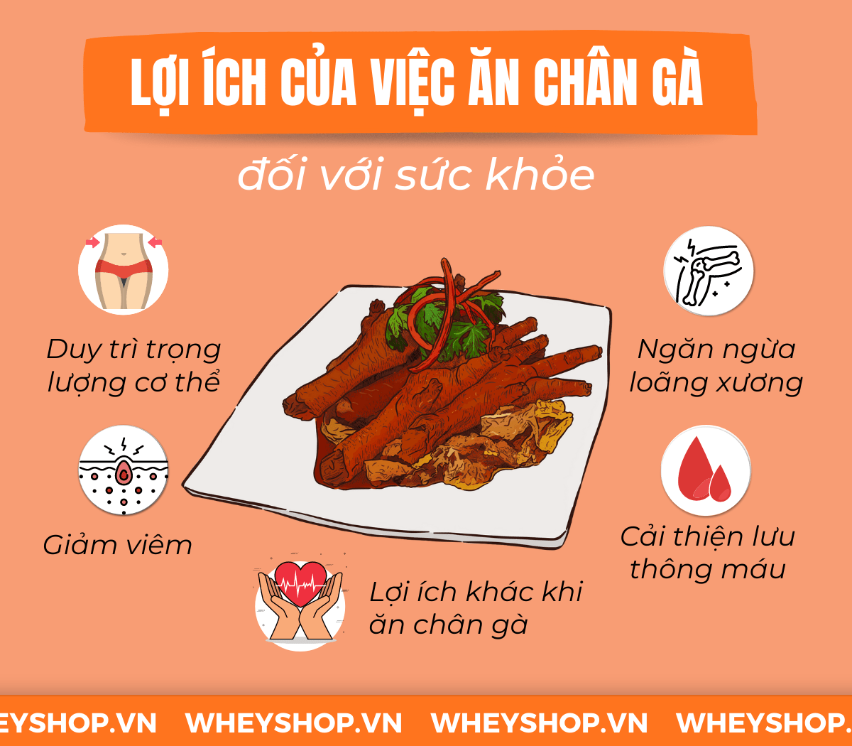 Nếu bạn đang băn khoăn chân gà bao nhiêu calo và ăn chân gà có béo không thì hãy cùng WheyShop giải đáp thắc mắc qua bài viết ngay sau...