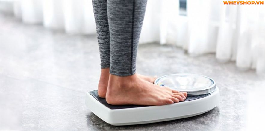 Nếu bạn đang băn khoăn chân gà bao nhiêu calo và ăn chân gà có béo không thì hãy cùng WheyShop giải đáp thắc mắc qua bài viết ngay sau...