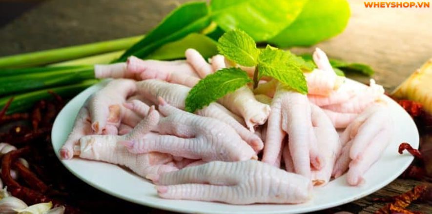 Nếu bạn đang băn khoăn chân gà bao nhiêu calo và ăn chân gà có béo không thì hãy cùng WheyShop giải đáp thắc mắc qua bài viết ngay sau...