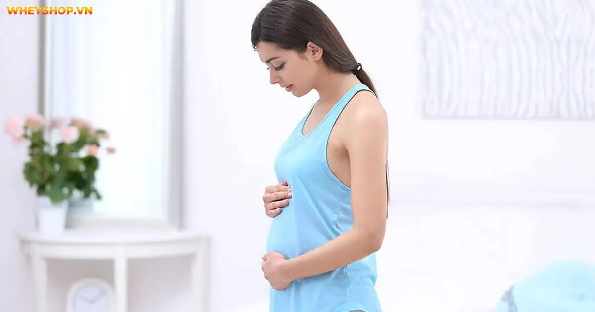 chao-long-bao-nhieu-calo-an-chao-long-tang-can-4