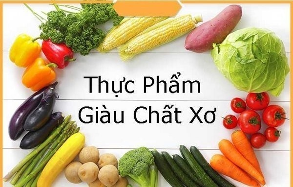 chất xơ là gì