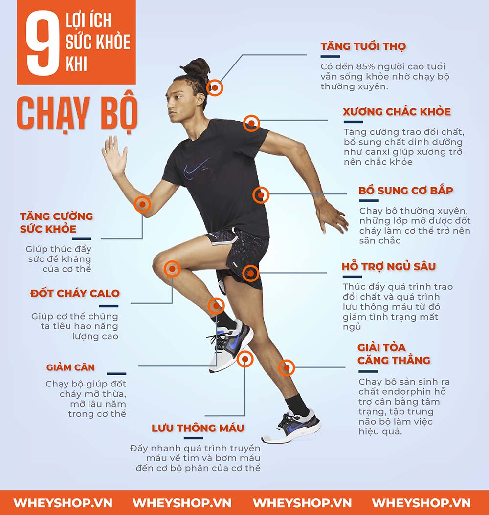 Chạy bộ là 1 môn thể thao tiện lợi và đốt cháy được lượng calo rất cao. Hãy cùng WheyShop tìm hiểu chạy 10km đốt bao nhiêu calo nhé!